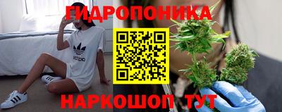 PSILOCYBIN Кунгур