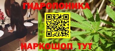 PSILOCYBIN Кунгур