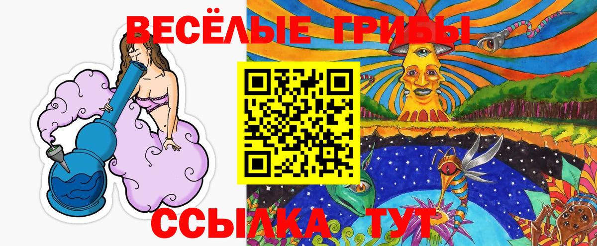Псилоцибиновые грибы Psilocybe  Вход с VPN  Унеча 